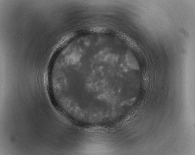 X0000116440734201001051204