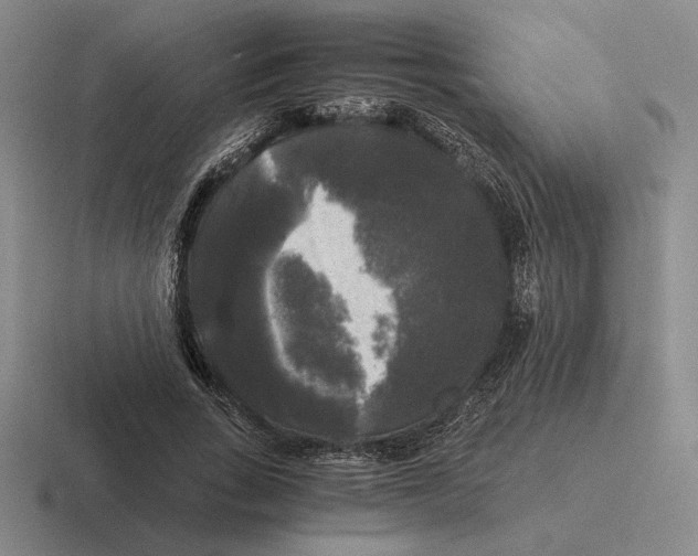 X0000116440735201001051204