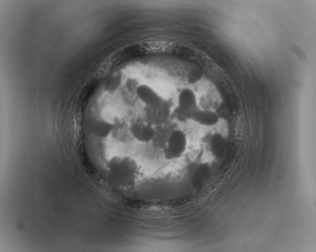 X0000116440737201001051204