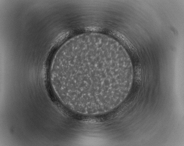 X0000116440738201001051204