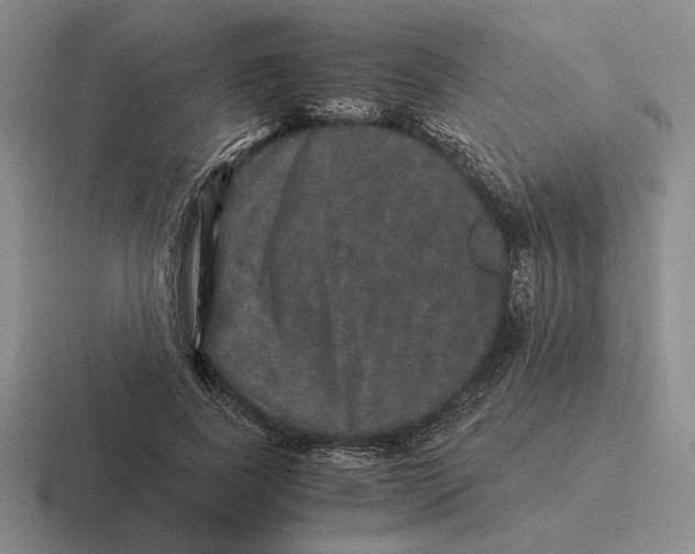 X0000116440739201001051204