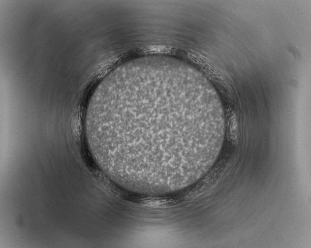 X0000116440746201001051204