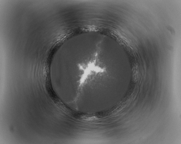 X0000116440747201001051204