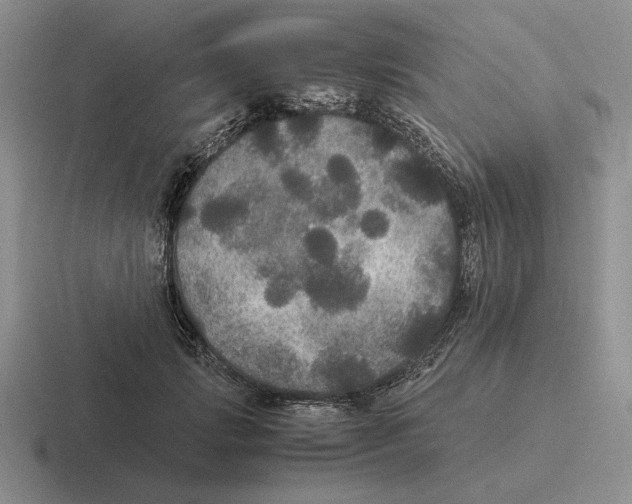 X0000116440749201001051204