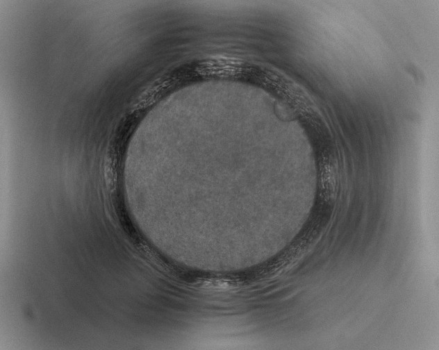 X0000116440751201001051204