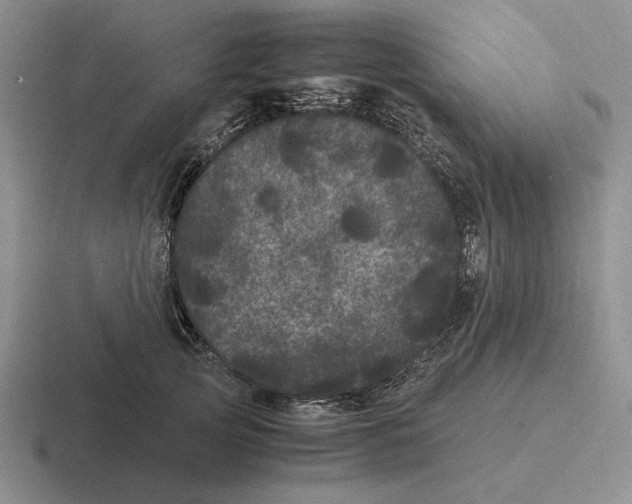 X0000116440753201001051204