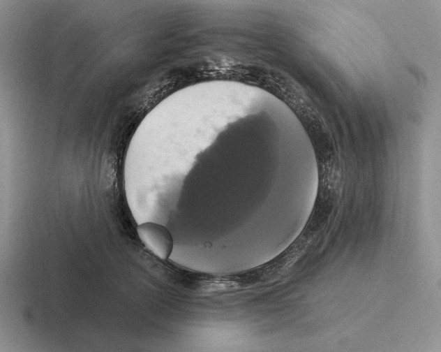 X0000116440754201001051204