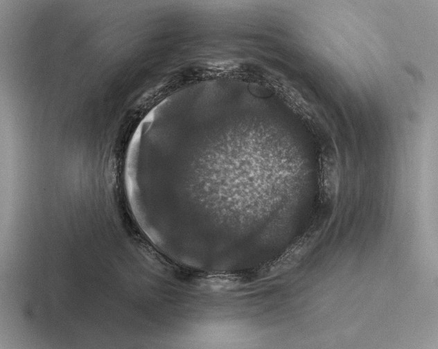 X0000116440758201001051204