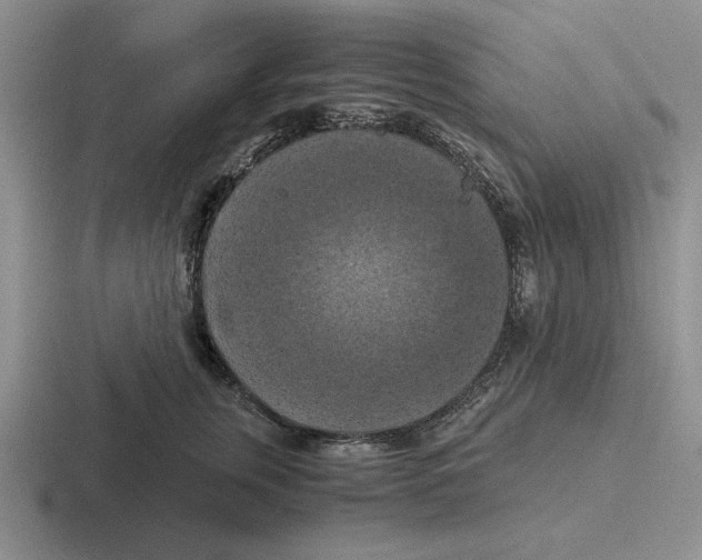 X0000116440759201001051204