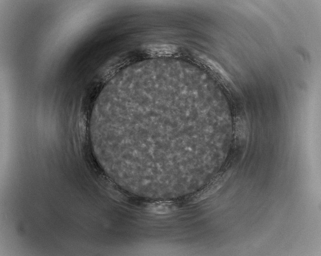 X0000116440761201001051204