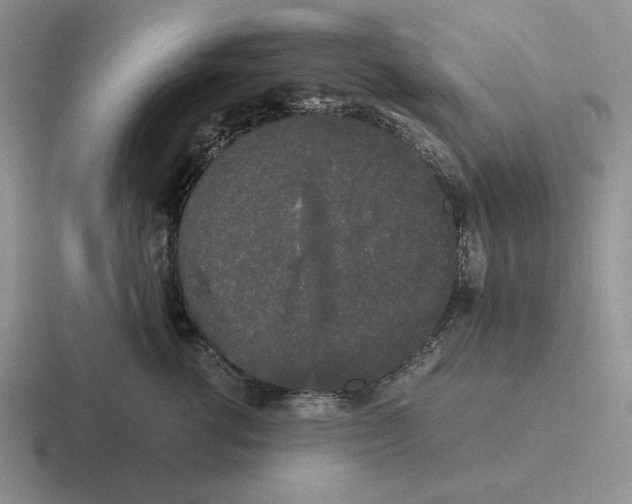 X0000116440762201001051204