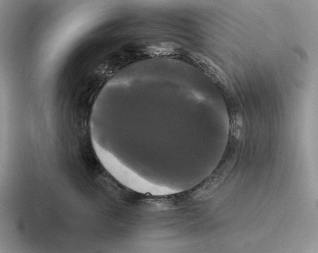 X0000116440763201001051204