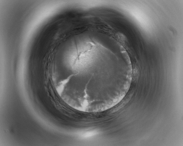 X0000116440765201001051205