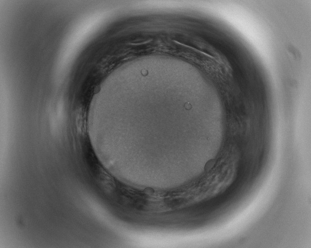 X0000116440766201001051205