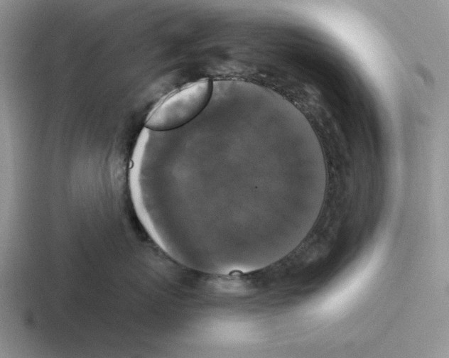 X0000116440767201001051205