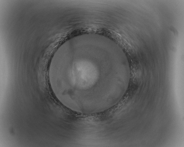 X0000116440769201001051204