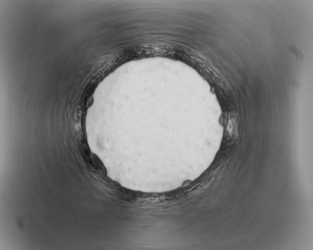 X0000116440771201001051204