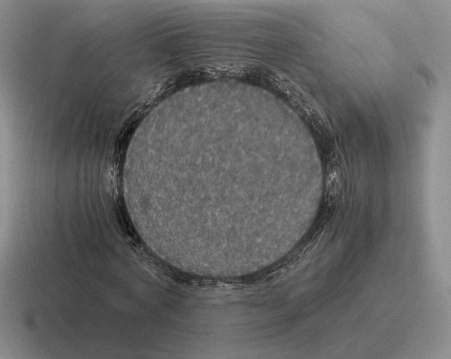 X0000116440772201001051204