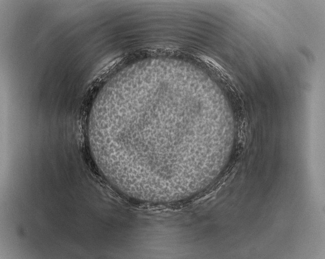 X0000116440774201001051204