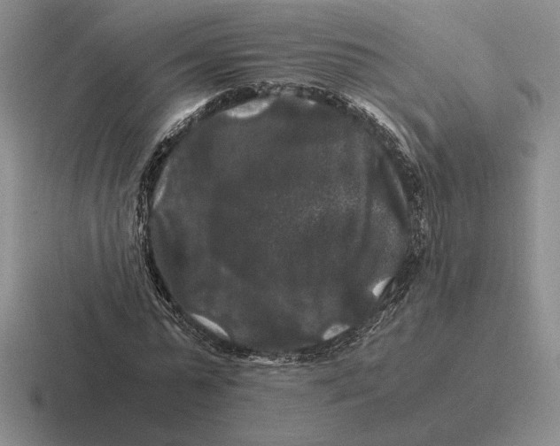 X0000116440775201001051204