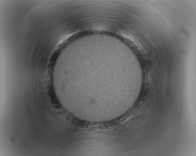 X0000116440776201001051204