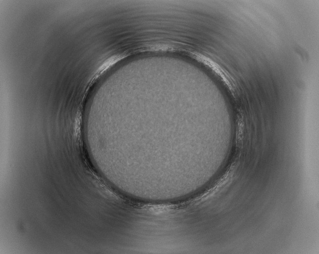 X0000116440778201001051204