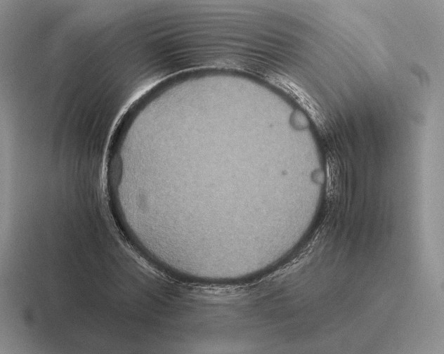 X0000116440780201001051204