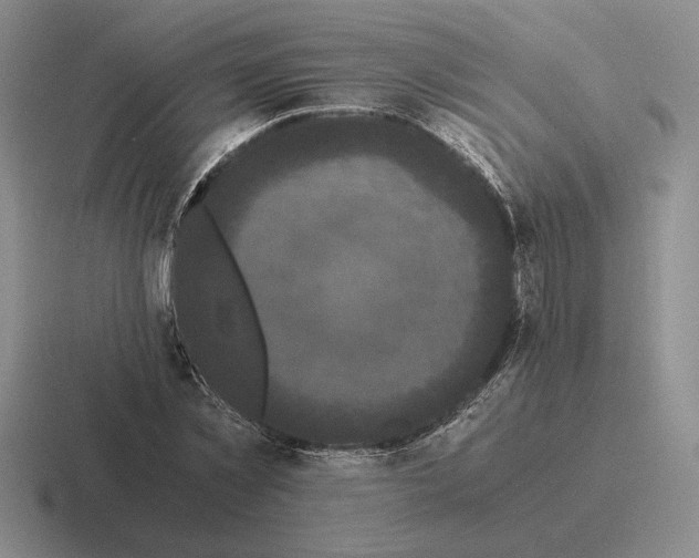 X0000116440781201001051204