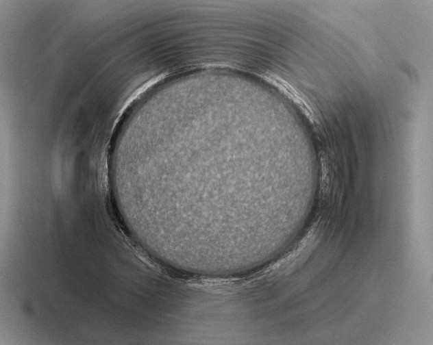 X0000116440782201001051204