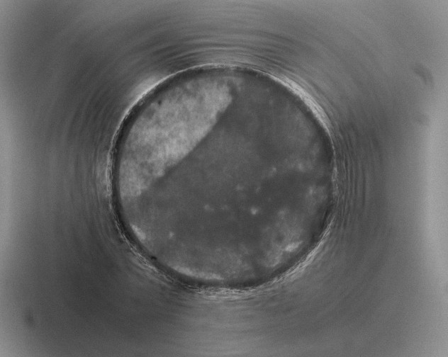 X0000116440783201001051204