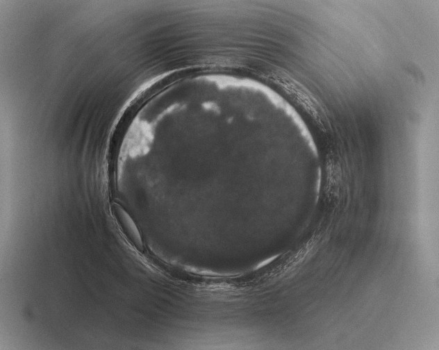 X0000116440784201001051204