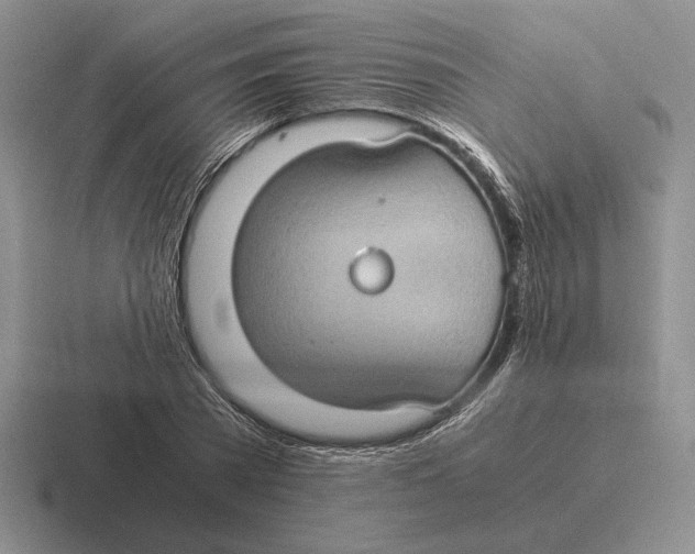 X0000116440785201001051204