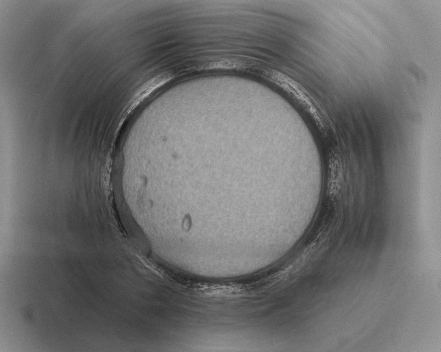 X0000116440786201001051204