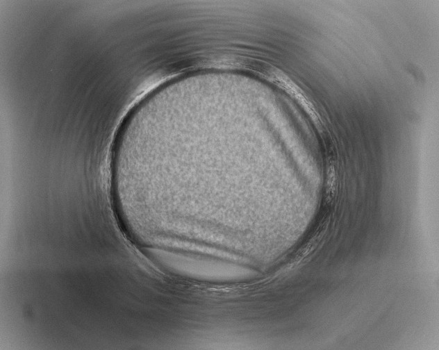 X0000116440787201001051204