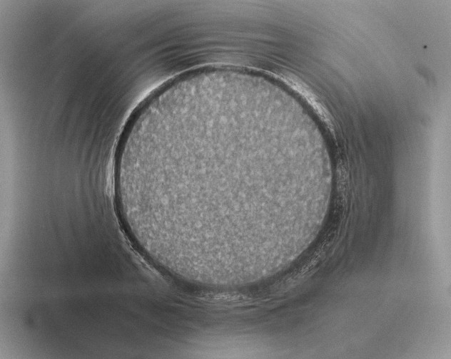 X0000116440791201001051204