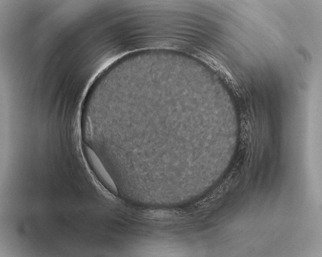 X0000116440792201001051204