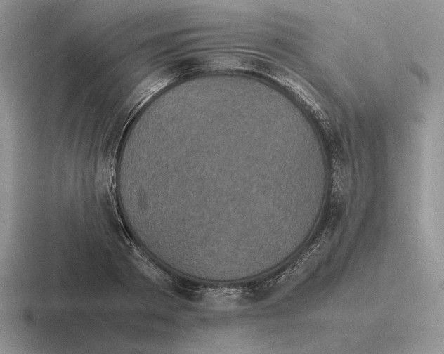 X0000116440793201001051204