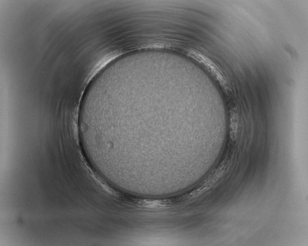 X0000116440794201001051204