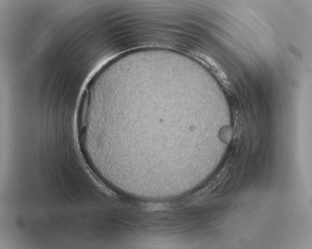 X0000116440796201001051204