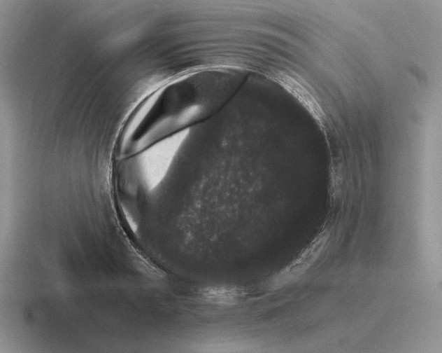 X0000116440797201001051204