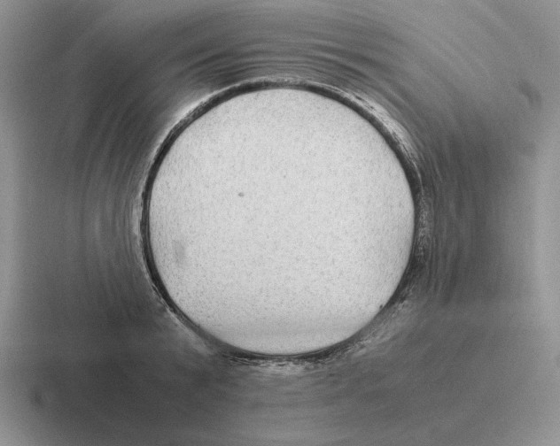 X0000116440799201001051204