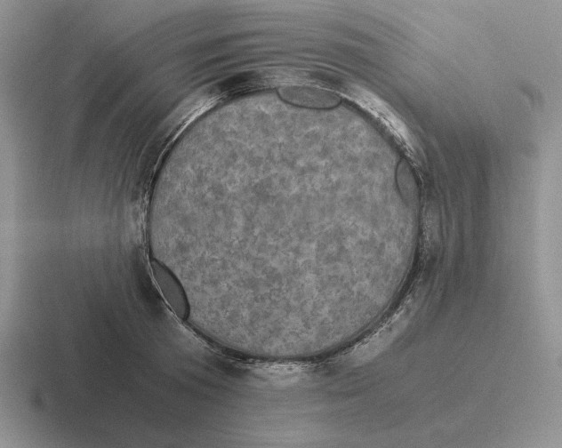 X0000116440801201001051204