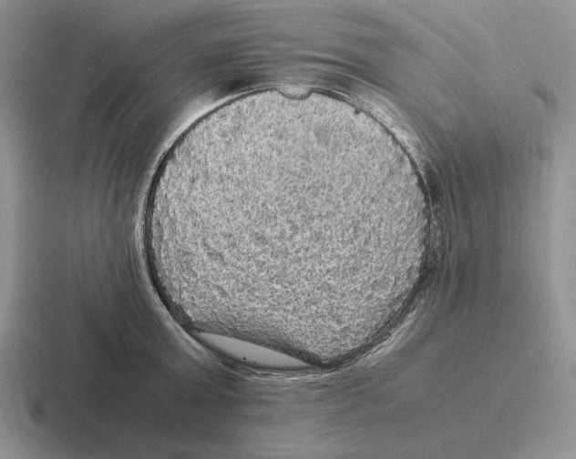 X0000116440803201001051204