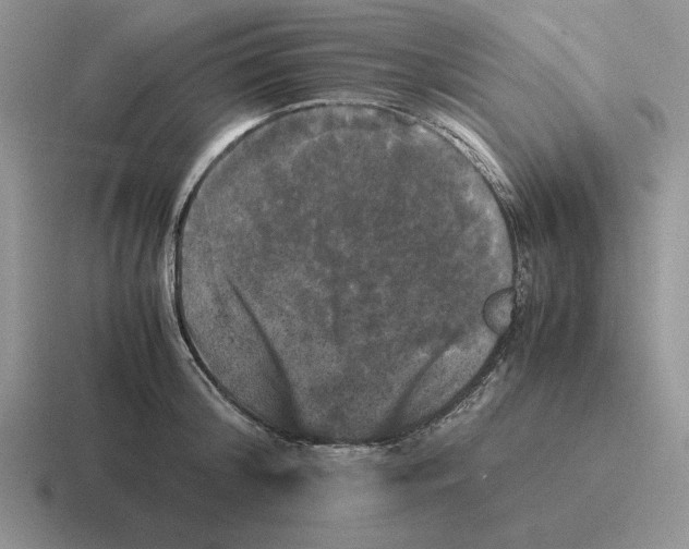 X0000116440804201001051204