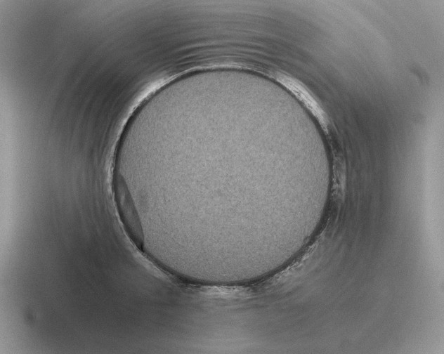 X0000116440805201001051203