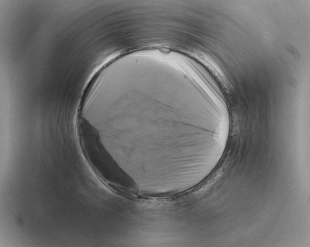 X0000116440806201001051203