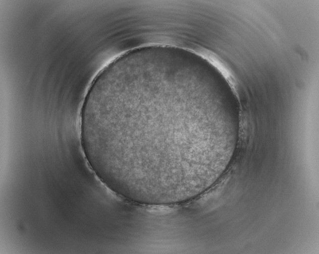 X0000116440807201001051203