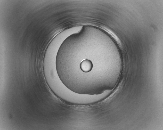 X0000116440809201001051203