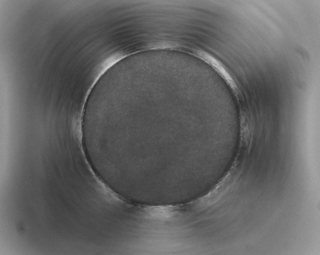 X0000116440810201001051203