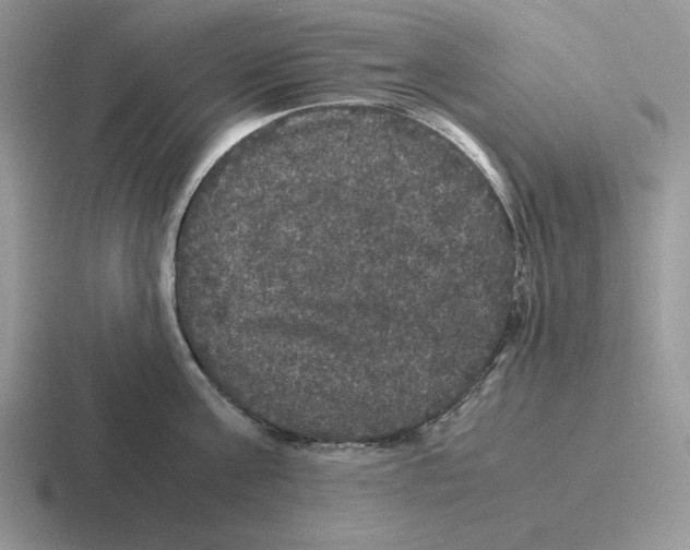 X0000116440811201001051203